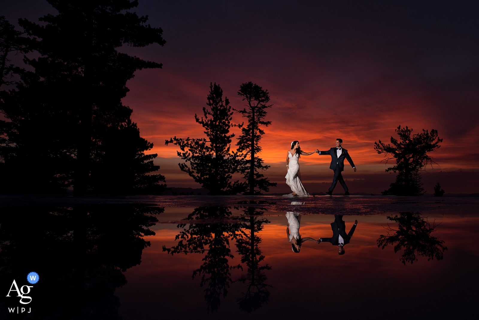 Foto von: <a href="https://www.wpja.com/content/california-ag-photography-winner-8"> Matt Theilen - South Lake Tahoe, Kalifornien Kalifornien-künstlerische Hochzeits-Fotografie der Braut und des Bräutigams, die an der Dämmerung durch Bäume gehen und reflektiert werden