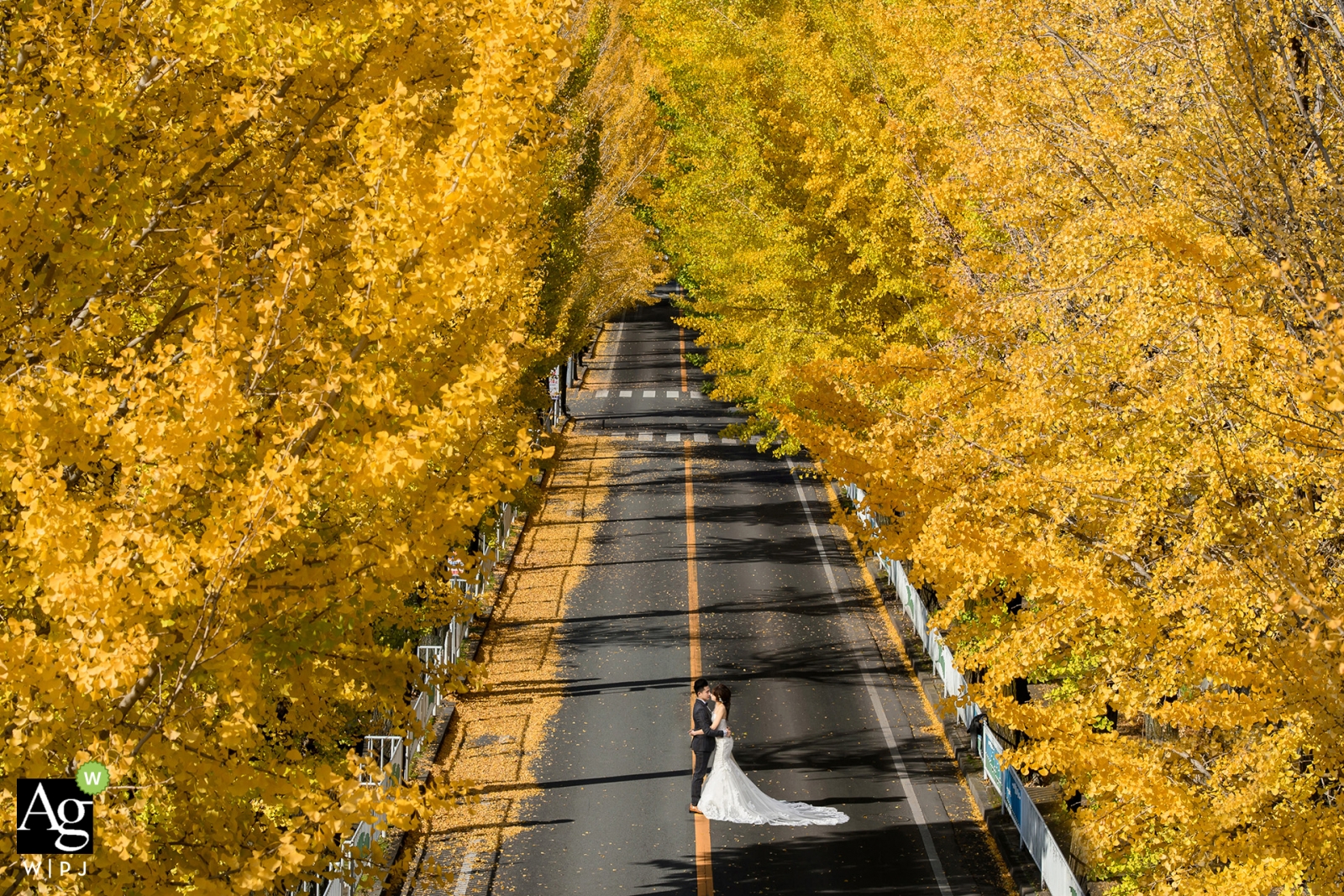 El otoño trae una naturaleza llena de colores brillantes en una foto de boda en Taiwán.