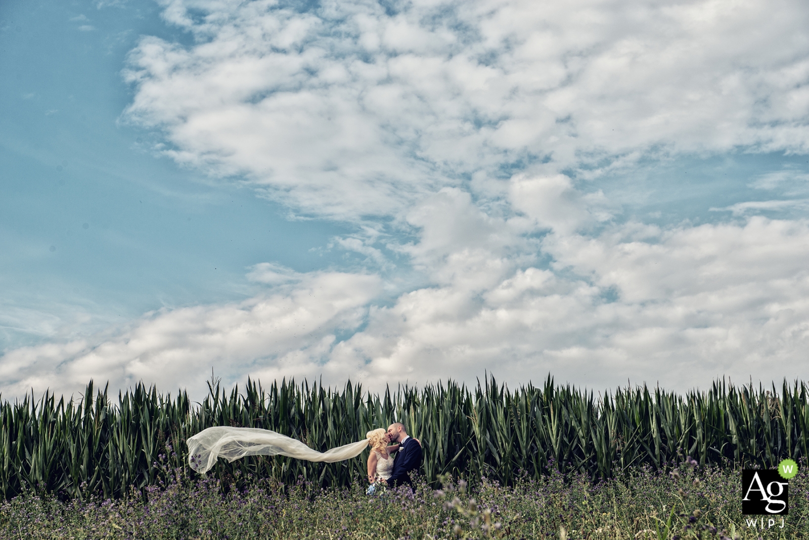 Photo par: <a href="https://www.wpja.com/photos/artistic-wedding-photographers-portrait/2269231"> Massimiliano Beccati - Milan Milan Photographe de mariage documentaire milan | L'image contient: marié, mariée, ciel, champ de maïs, voile, étreinte, portrait
