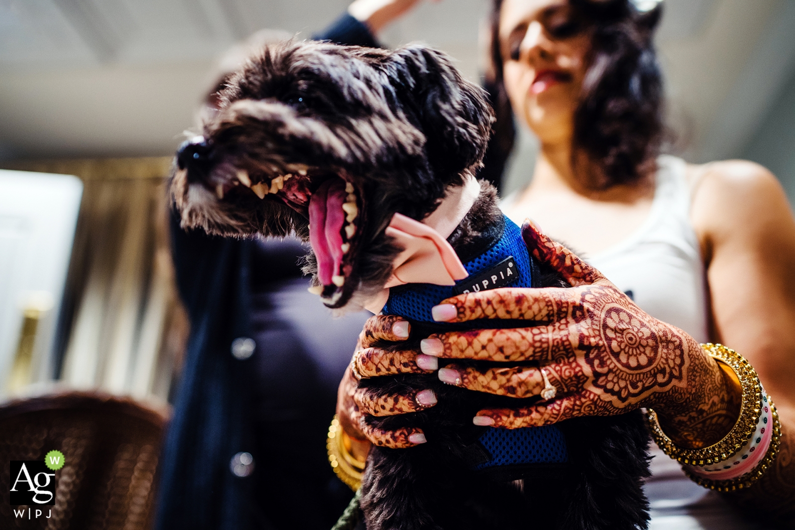 The bride's hands were adorned with intricate henna designs, while she held a yawning dog with a bowtie