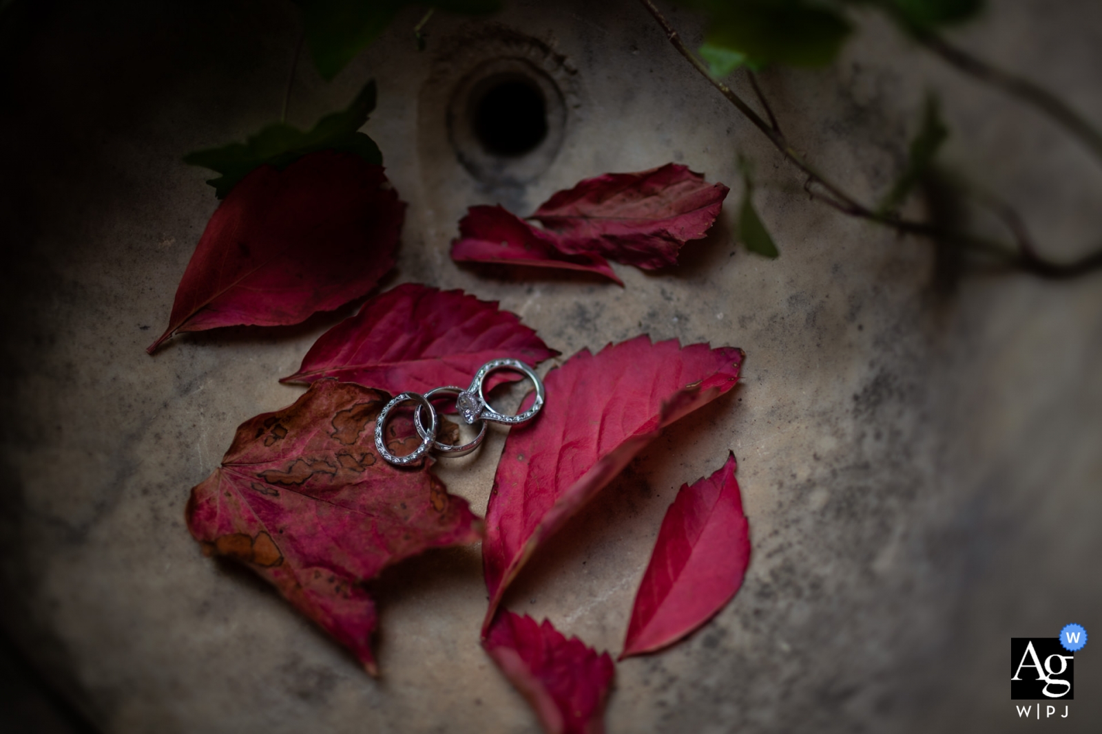 Los anillos de la pareja engastados entre hojas rojas, aportando un toque rústico a los detalles.