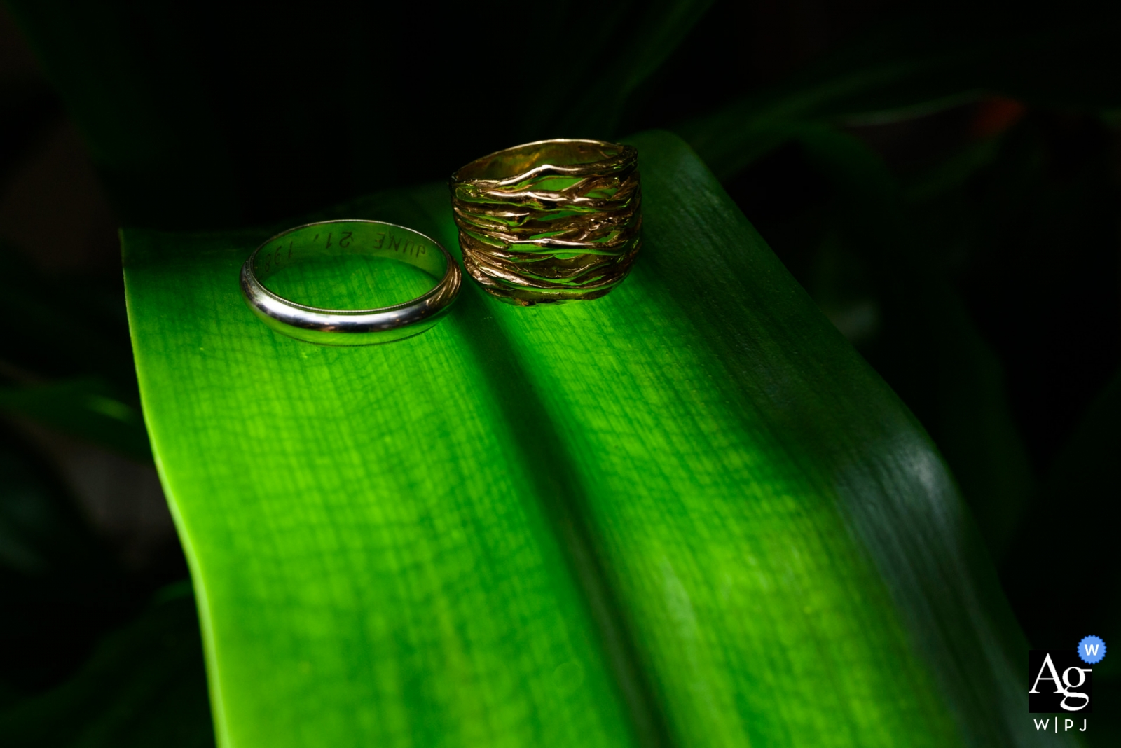 Photo by: <a href="https://www.wpja.com/photos/artistic-wedding-photographers-details/2310961">Esther Gibbons - Montreal Quebec Montreal artistic creative photography detail of rings on green leaves