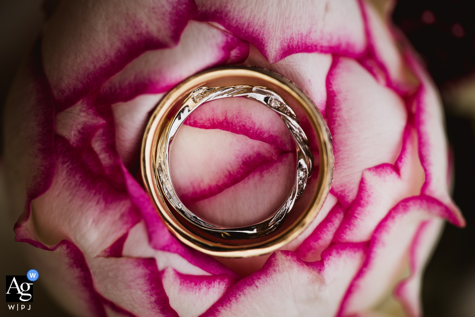 Die wunderschönen Eheringe eines Paares aus Dorset, umgeben von einem Blumenarrangement