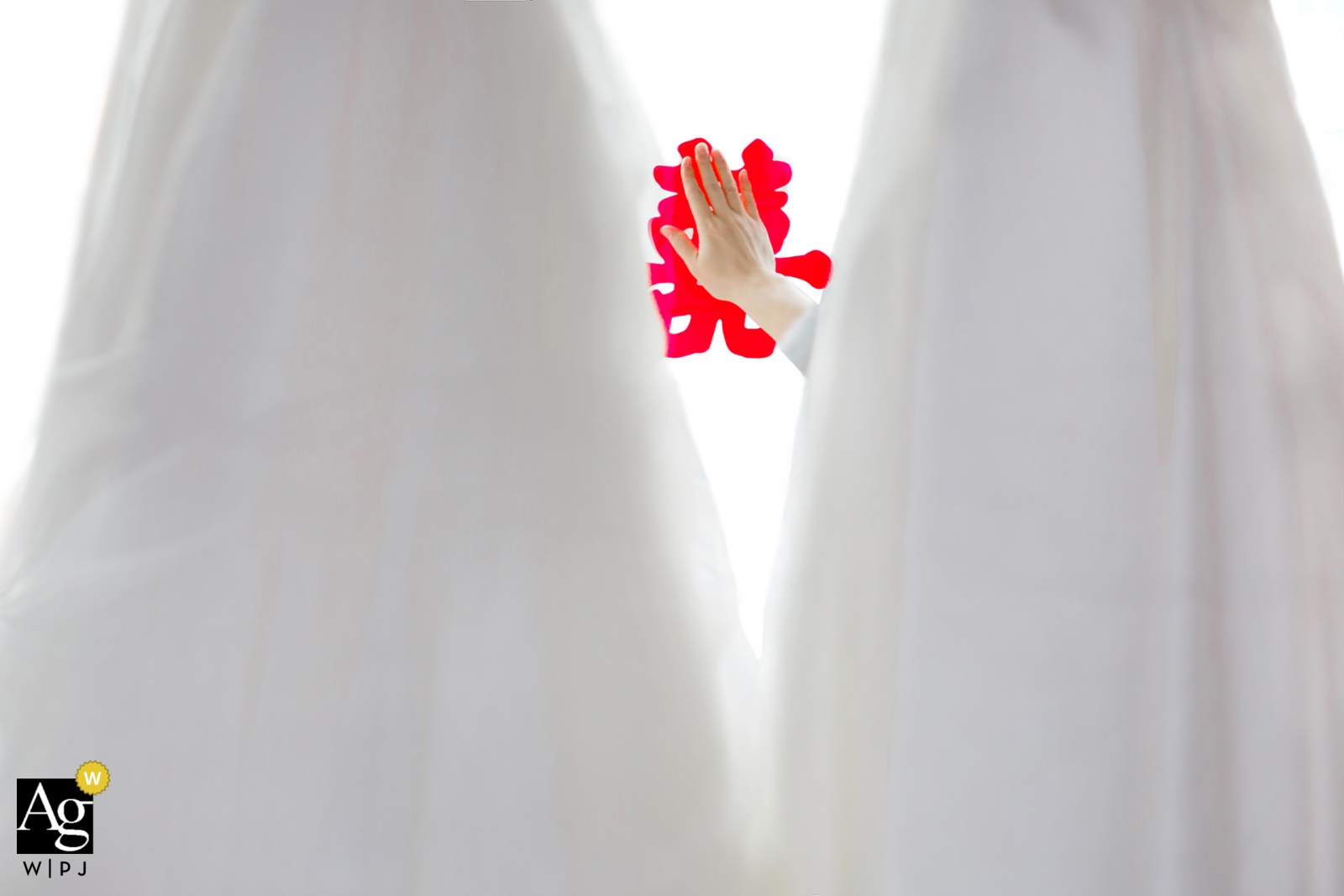 De Zhou wedding detail image of hand reaching through dresses