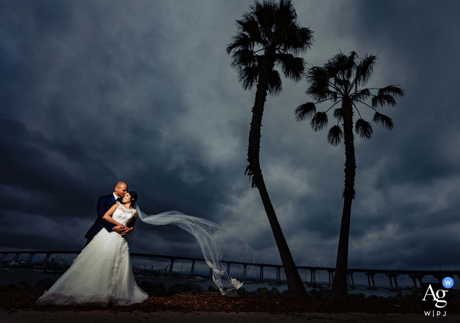 Photo by: <a href="https://www.wpja.com/photos/artistic-wedding-photographers-portrait/2339591">Raymond Nguyen - Sacramento California Sacramento creative wedding portrait photography of bride and groom with palm trees