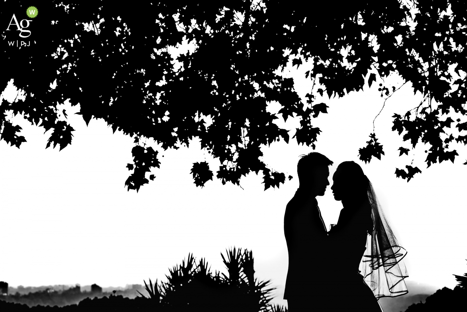 Foto: <a href="https://www.wpja.com/photos/artistic-wedding-photographers-wedding-day-portrait/2350311"> Sergio Cueto - Alcala de Henares Madrid Sergio Cueto ist ein künstlerischer Hochzeitsfotograf für Madrid