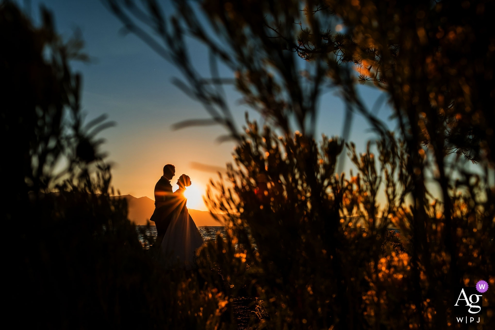 Photo de: <a href="https://www.wpja.com/photos/artistic-wedding-photographers-portrait/2354201"> Shaunte Dittmar - Lac Tahoe en Californie séance de portrait du jour du mariage créatif avec une mariée et le marié du lac Tahoe au coucher du soleil