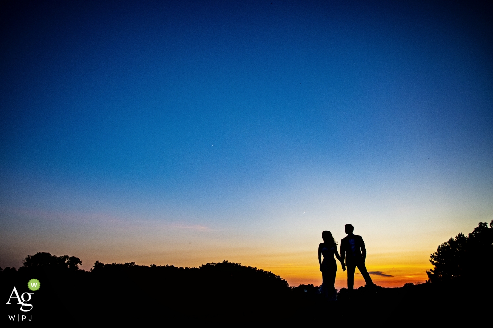 Photo de: <a href="https://www.wpja.com/photos/artistic-wedding-photographers-wedding-day-portrait/2357356"> Kathleen Ricker - Linthicum Heights Maryland photo de mariage artistique pendant la session de portrait de Balitimore avec les mariés