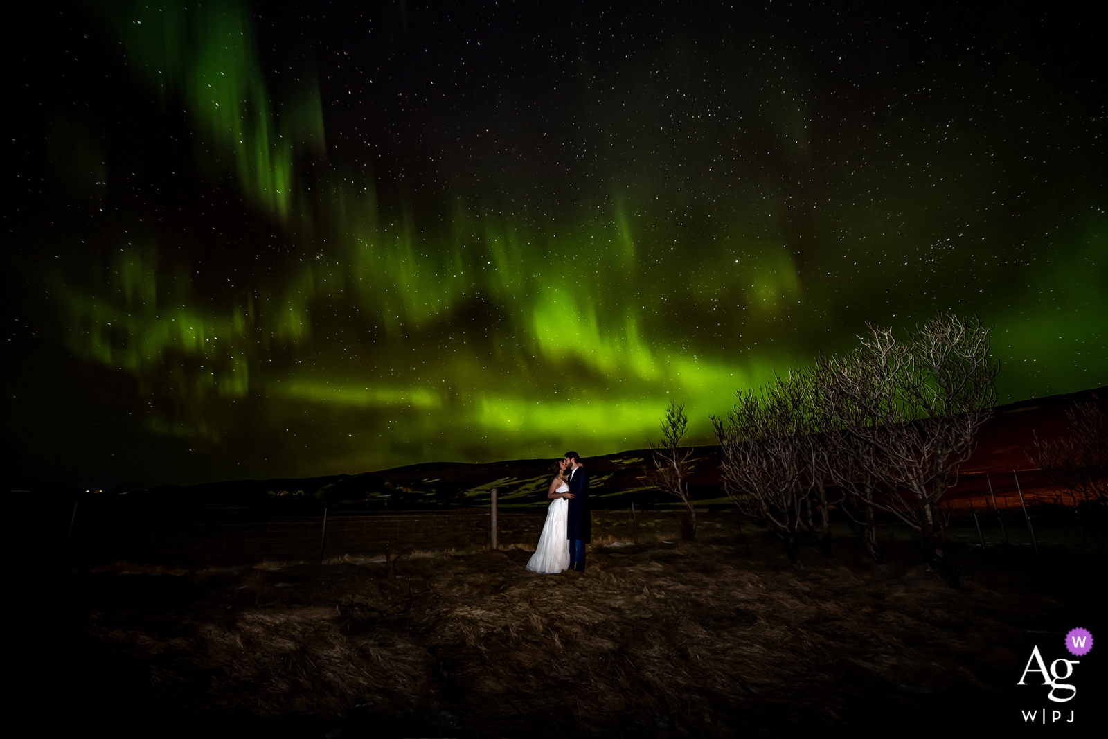 Foto di: <a href="https://www.wpja.com/photos/artistic-wedding-photographers-portrait/2382781"> David Zaoui - Miami Florida Foto di matrimonio Miami, Florida | Ritratto alla notte della sposa e dello sposo con il cielo verde in Florida
