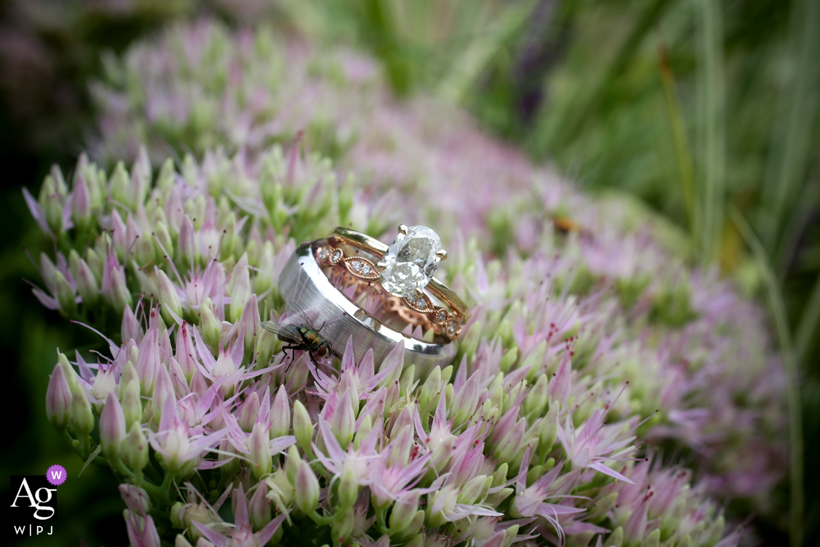 Foto: <a href="https://www.wpja.com/photos/artistic-wedding-photographers-details/2411106"> Megan Resch - Louisville, Kentucky Louisville, KY künstlerisches Hochzeitsfotodetail von Ringen auf Blumen