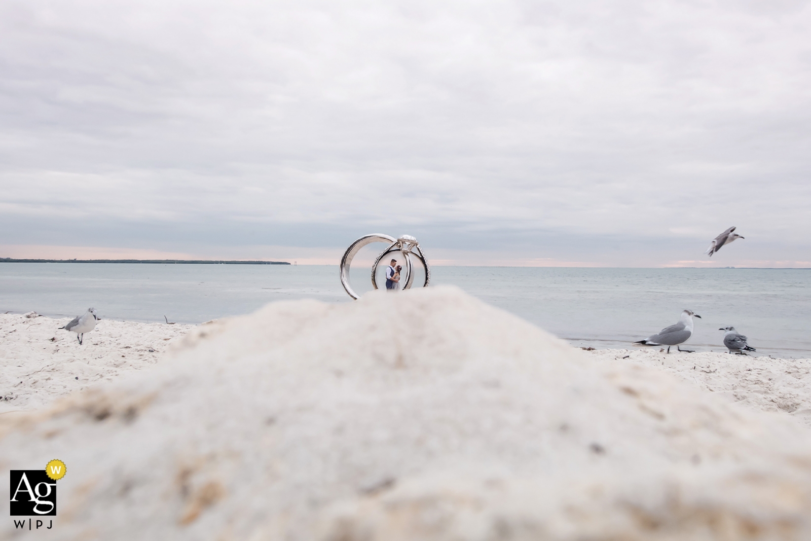 Foto di: <a href="https://www.wpja.com/photos/artistic-wedding-photographers-details/2411366"> David Zaoui - Miami Florida Dettaglio artistico della foto di nozze di Miami degli anelli con un ritratto della coppia