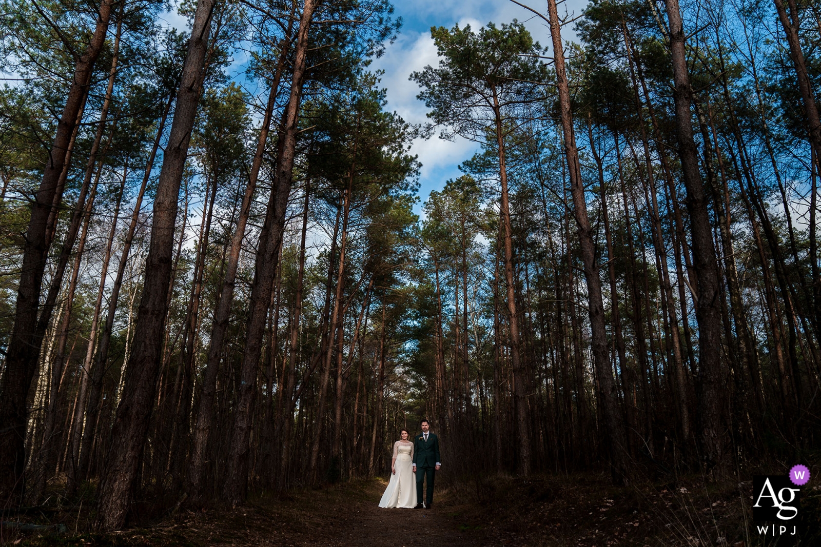Photo by: <a href="https://www.wpja.com/photos/artistic-wedding-photographers/2437871">Thomas Jongbloed - Utrecht Utrecht Beaufort Huis Austerlitz wedding photography | The bride and groom are standing in a beautiful forest with a blue sky.