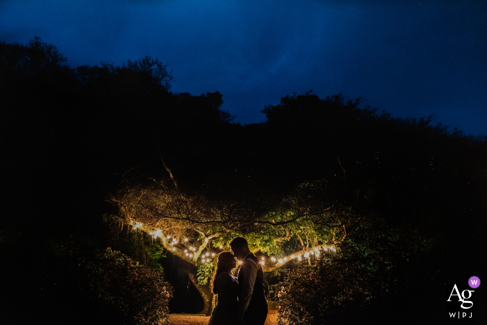 On a wedding day in Porto Alegre, Rio Grande do Sul, Brazil, a beautiful image was created of the bride and groom with a lit tree in the background, at Casa da Figueira