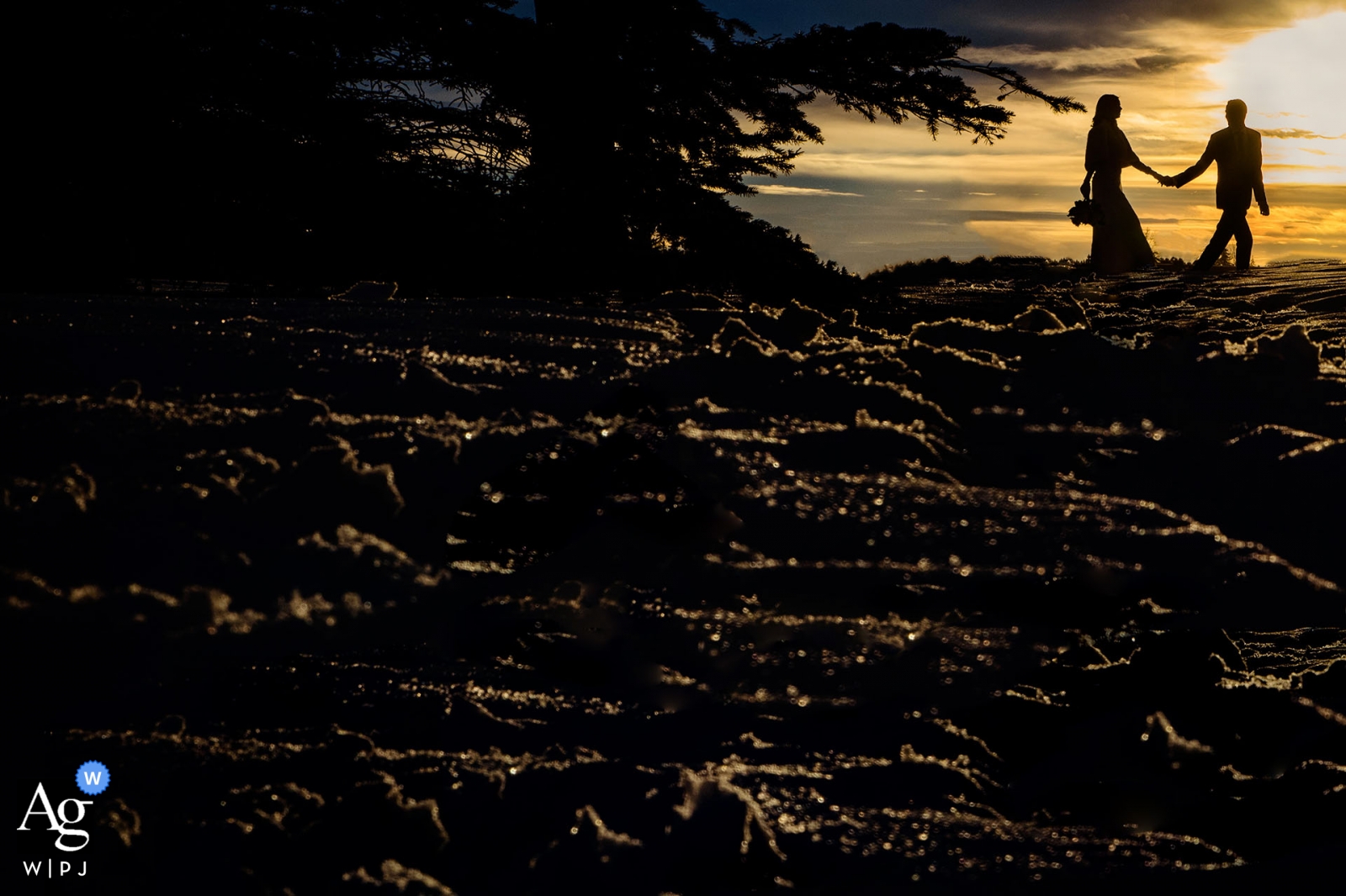 Foto por: <a href="https://www.wpja.com/photos/artistic-wedding-photographers/2438291"> Chrystal Stringer - Edmonton Alberta Edmonton, Alberta fotógrafo de bodas | Novia y el novio caminando en la nieve tomados de la mano al atardecer