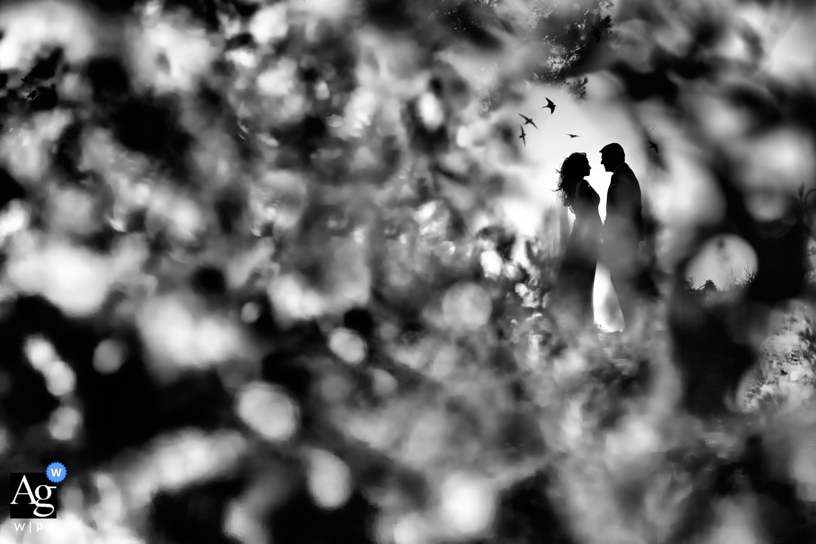 Photo by: <a href="https://www.wpja.com/photos/artistic-wedding-photographers/2439426">Elena Haralabaki - Nea Ionia Attica Wedding photographer for the Grand Resort Lagonissi, Greece | artistic Black and white portrait of the bride and groom
