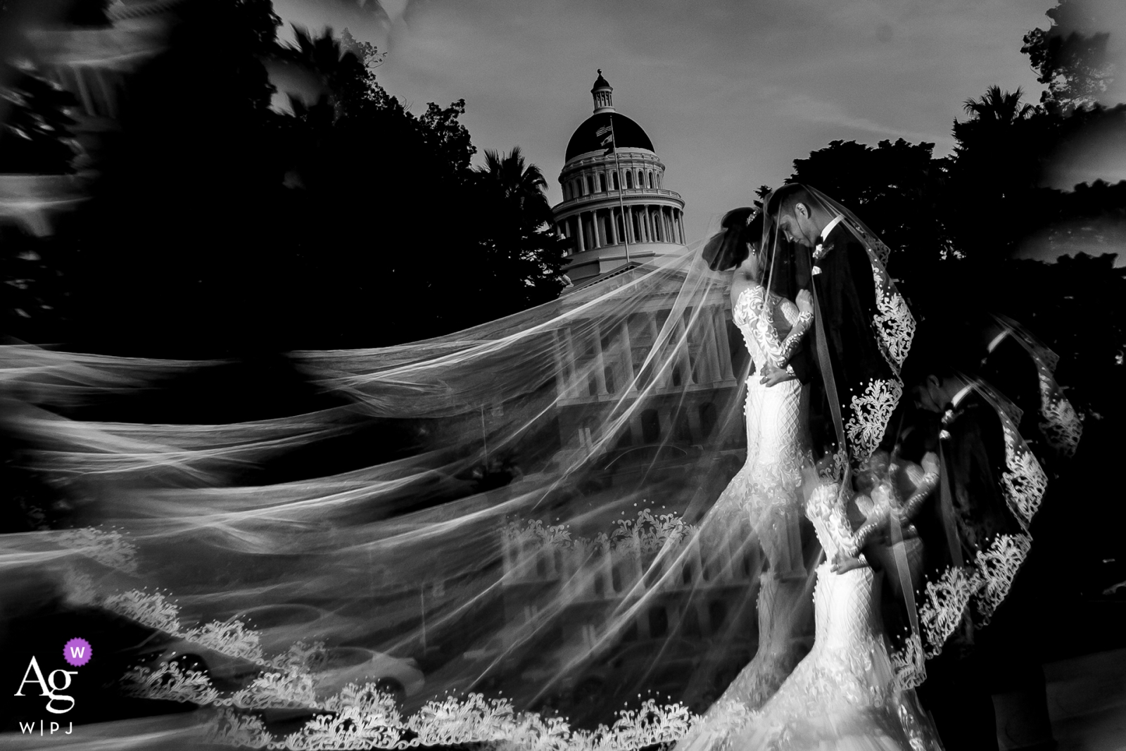Photo by: <a href="https://www.wpja.com/photos/artistic-wedding-photographers/2440341">Raymond Nguyen - Sacramento California The bride has her veil fanned out in the air for this portrait with her husband in San Francisco after their wedding ceremony