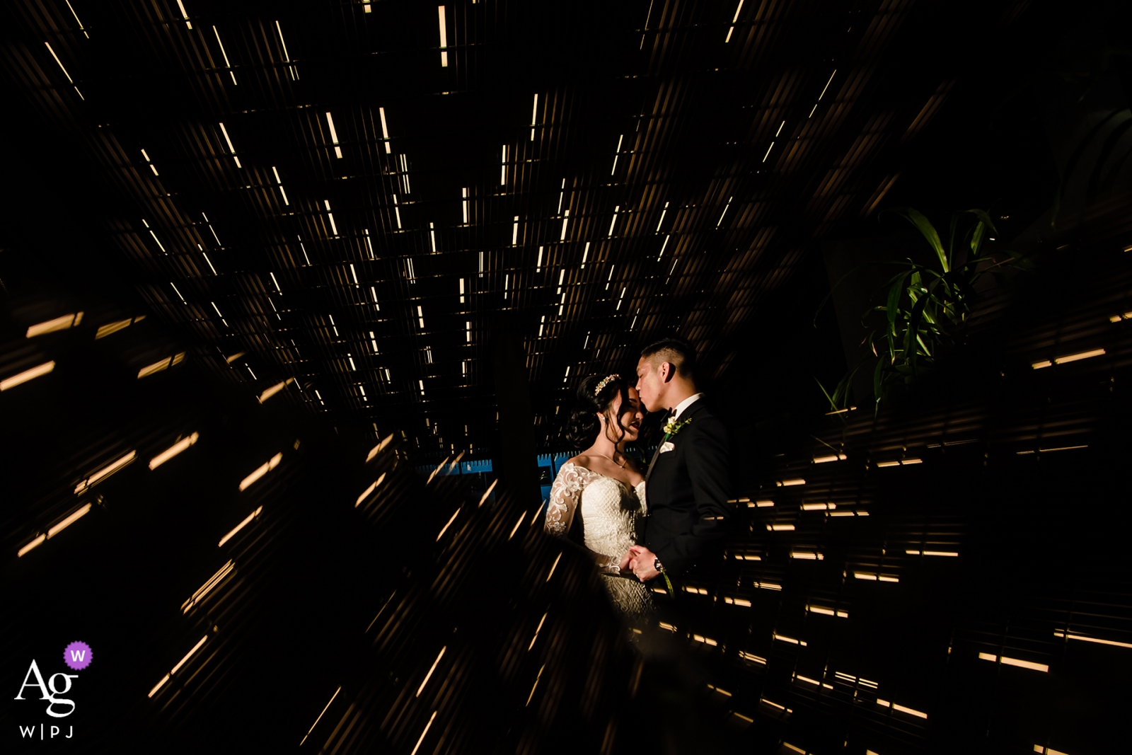Photo by: <a href="https://www.wpja.com/photos/artistic-wedding-photographers/2440346">Raymond Nguyen - Sacramento California san fraincisco artistic bride and groom portrait on wedding day