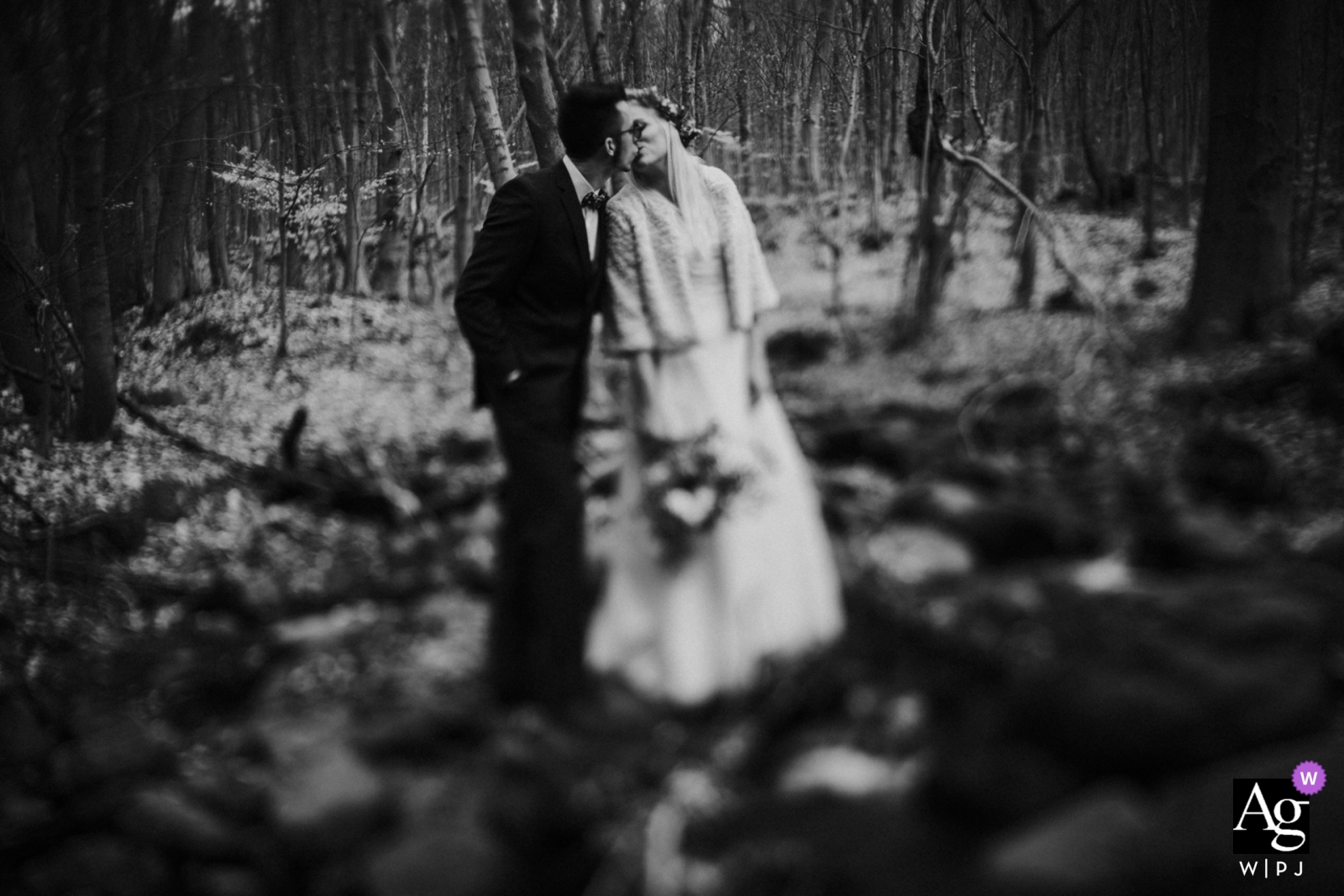 Photo de: <a href="https://www.wpja.com/photos/artistic-wedding-photographers/2444881"> Krisztian Bozso - Budapest Budapest Gyongyossolymos, portraits de mariage en Hongrie | photo des mariés s'embrassant dans la forêt (tilt-shift)