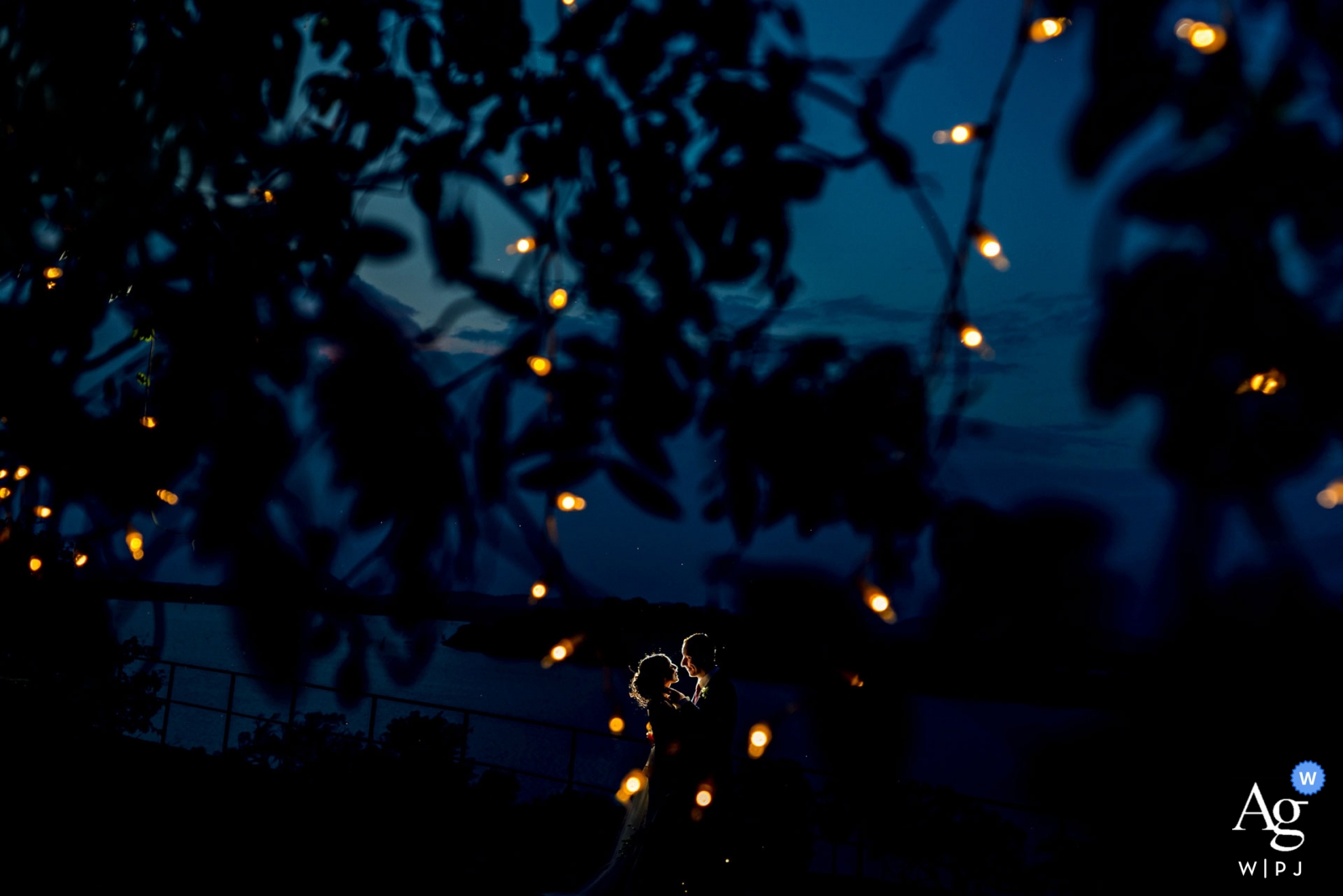 The couple celebrated the reception with the picturesque view of twinkling lights decorating the trees at Kandalama Hotel, Sri Lanka, at dusk