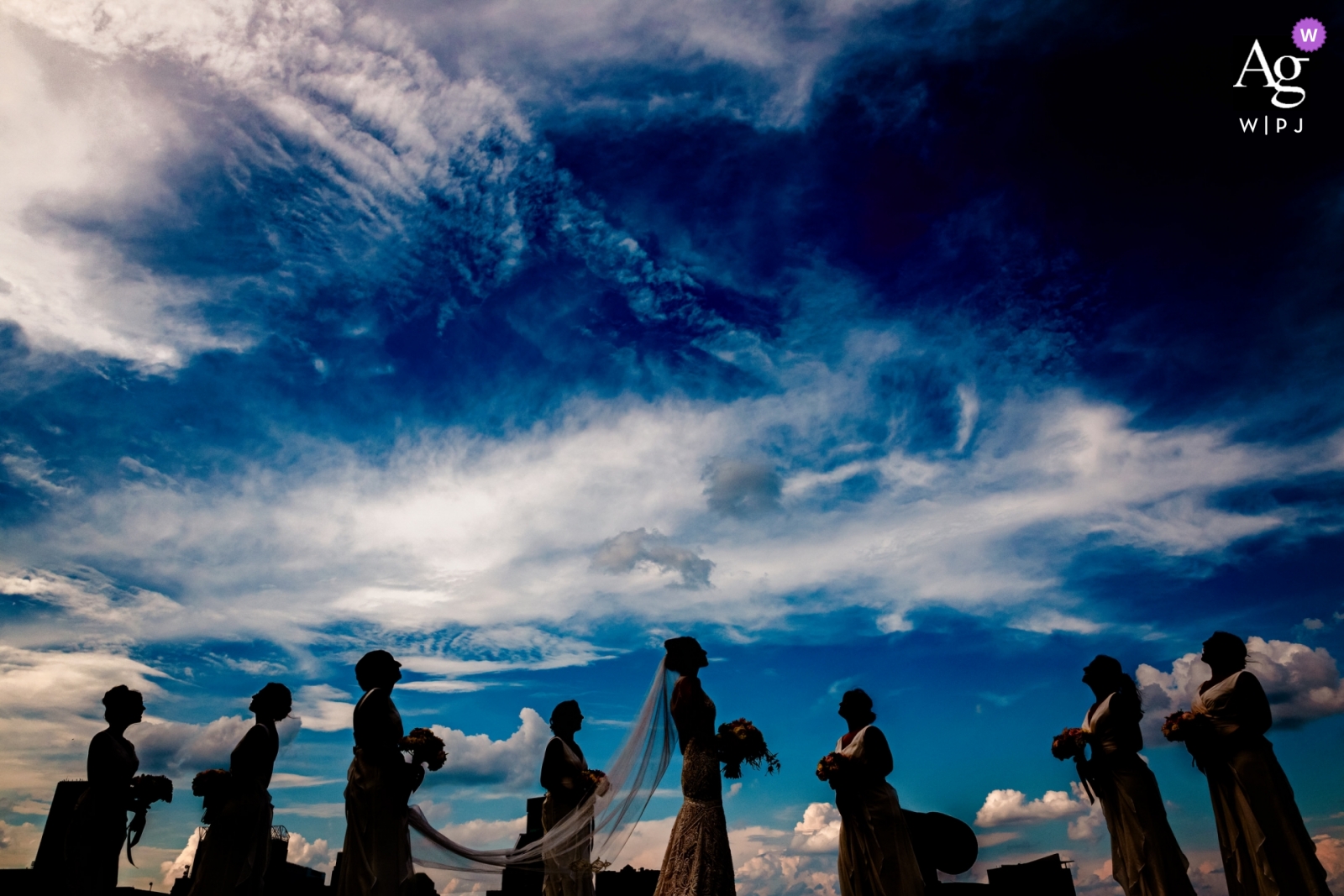 The bridal wedding party had an unconventional photoshoot at the Baltimore Museum of Industry, featuring their silhouettes against a bright blue sky