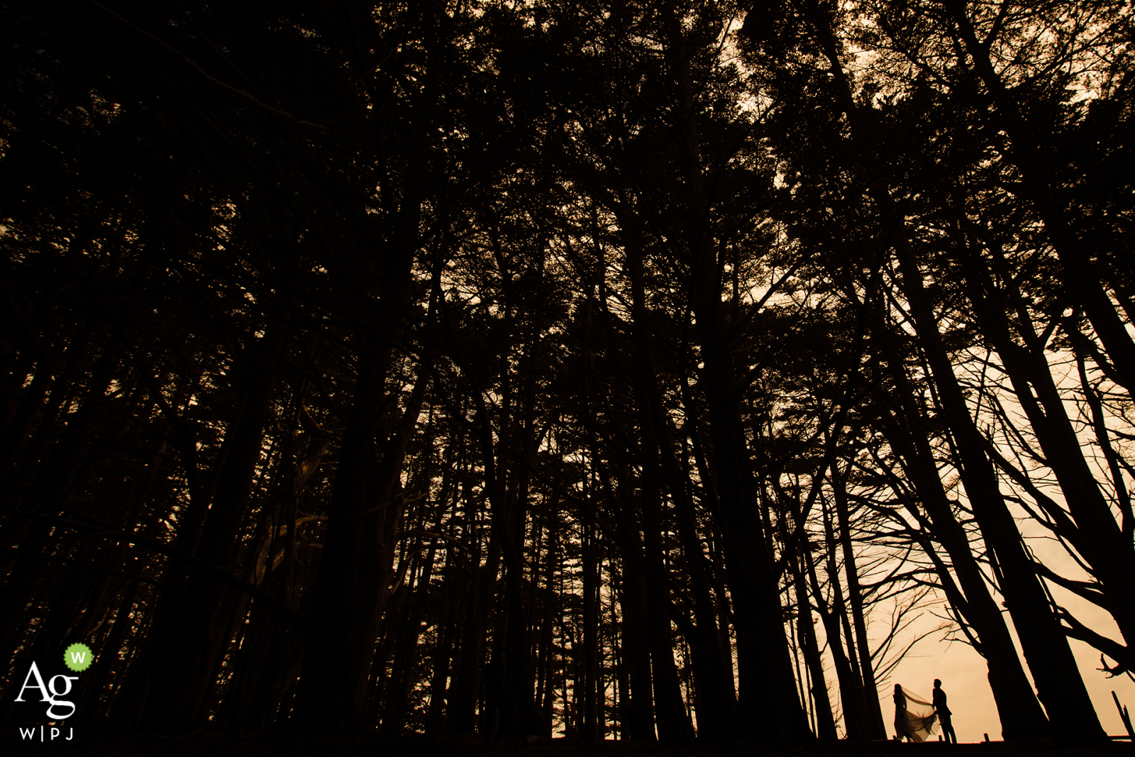 Half Moon Bay - foto del lugar de la boda de Harley Farms de los novios caminando