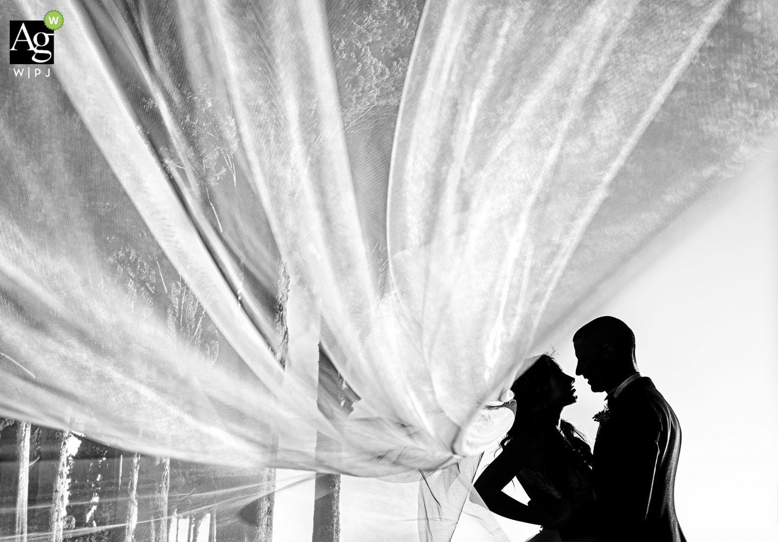 antica fattoria di paterno wedding venue photo - couple in silhouette in black and white