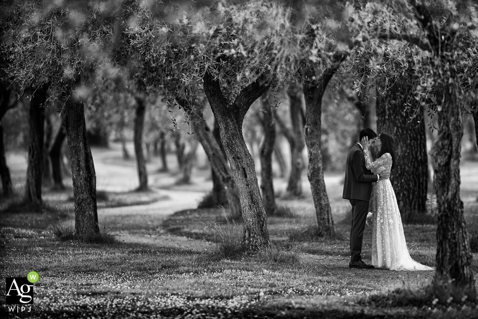 Fotografia di Savona - Adoro le nozze - Ritratto di sposi tra gli alberi