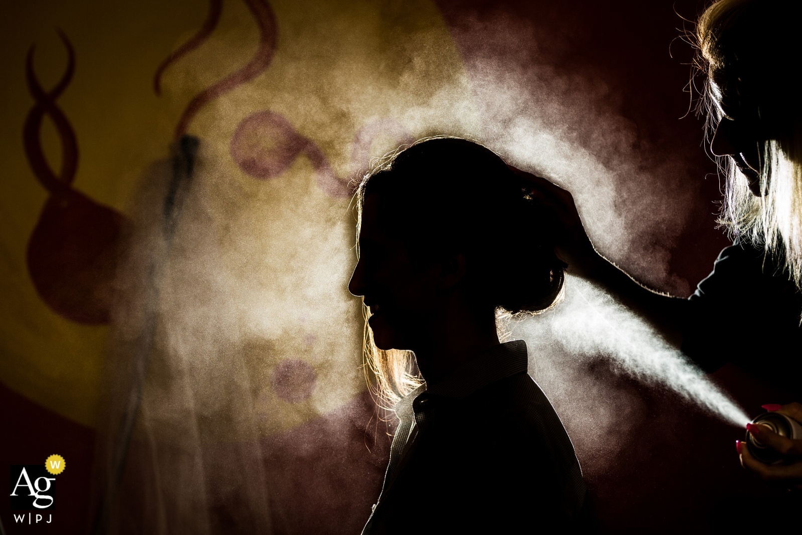 Photo by: <a href="https://www.wpja.com/photos/artistic-wedding-photographers/2510486">Matouš Bárta - Prague Matouš Bárta is an artistic wedding photographer for