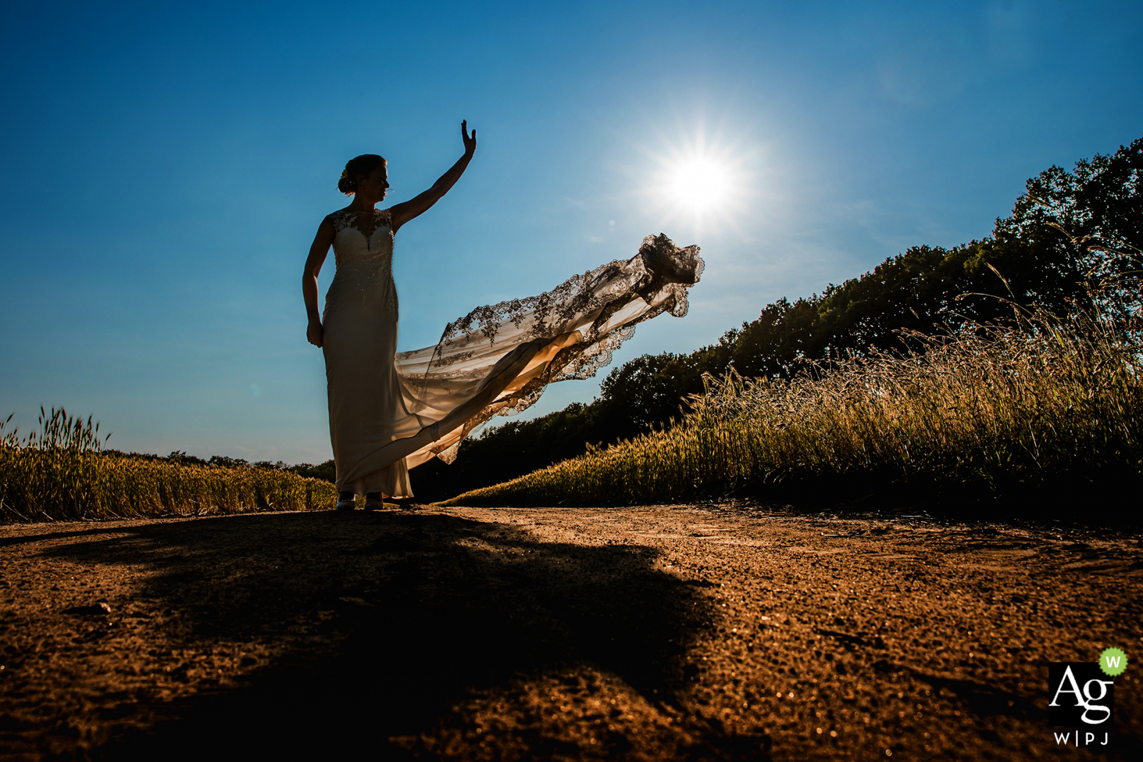 Woeste Hoeve Venue Photography | Bride and her wedding dress in golden hour.