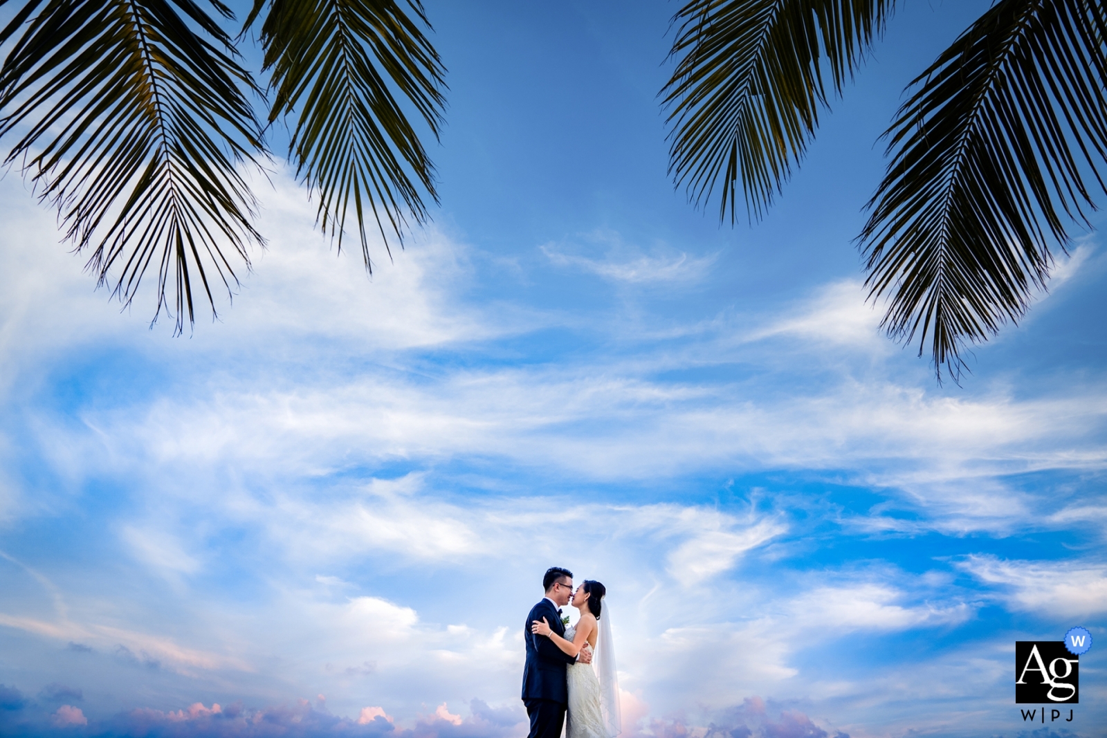  The wedding portrait of the couple in Nha Trang, with palm leaves above them and the sky as the background, was truly a magical moment