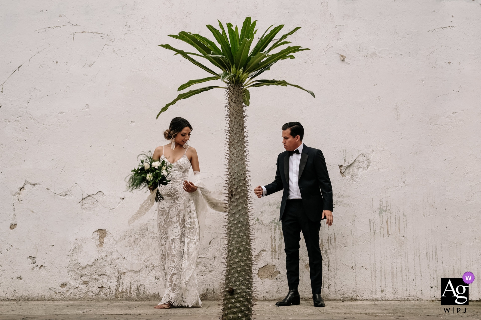 Photo by: <a href="https://www.wpja.com/photos/artistic-wedding-photographers/2526986">Nikhol Esteras - Oaxaca de Juárez Oaxaca Nikhol Esteras is an artistic wedding photographer for Oaxaca