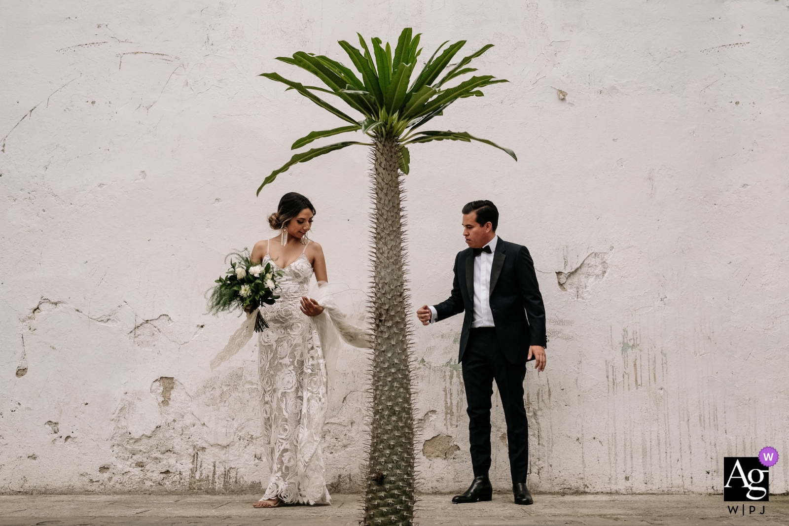 Os noivos comemoraram seu dia especial no belo Hotel Azul em Oaxaca, México, capturando um momento romântico em seu retrato de recém-casados