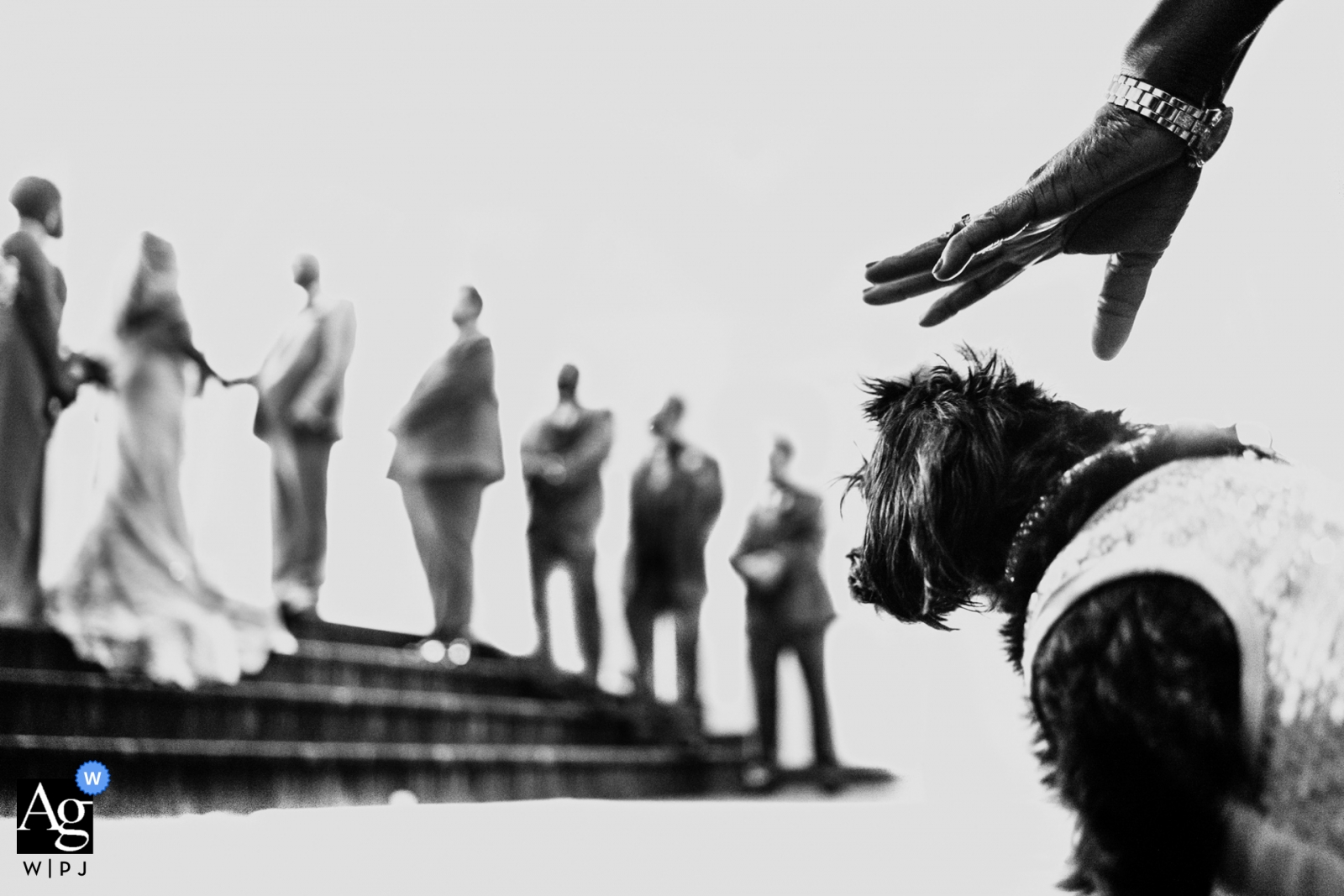 Das Schwarz-Weiß-Hochzeitsbild von Braut und Bräutigam und ihrem geliebten Hund bei einer Zeremonie in Toronto fängt den freudigen Anlass der Vereinigung des Ehepaares in der St. David's Church ein