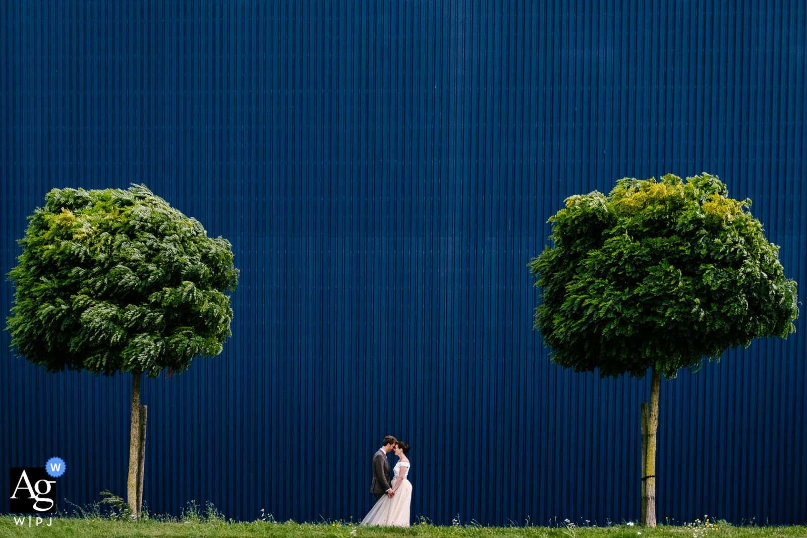 Belgisches Hochzeitsporträt eines Paares vor einem blauen Gebäude, eingerahmt zwischen zwei Bäumen.