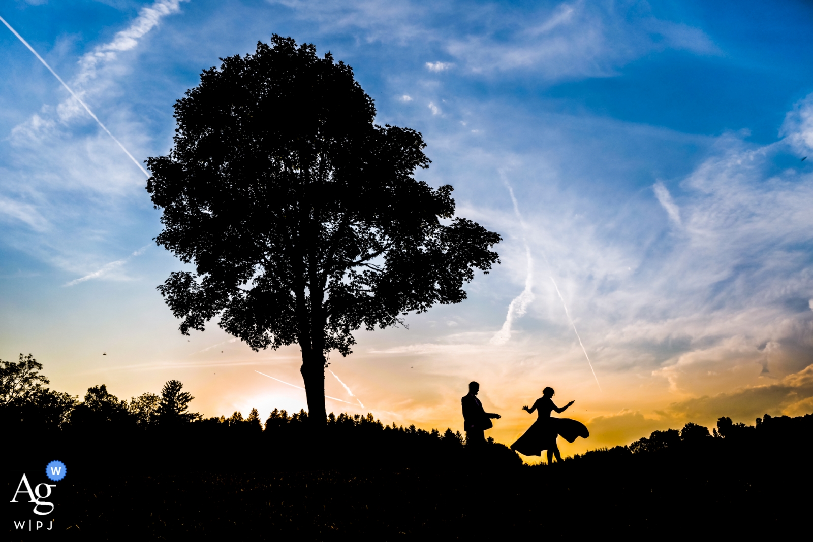 Foto von: <a href="https://www.wpja.com/photos/artistic-wedding-photographers/2552946"> William Lambelet - Montpellier Saint Etienne, Frankreich Hochzeit Silhouette Porträt der Braut und Bräutigam mit blauem Himmel und den Sonnenuntergang am Horizont