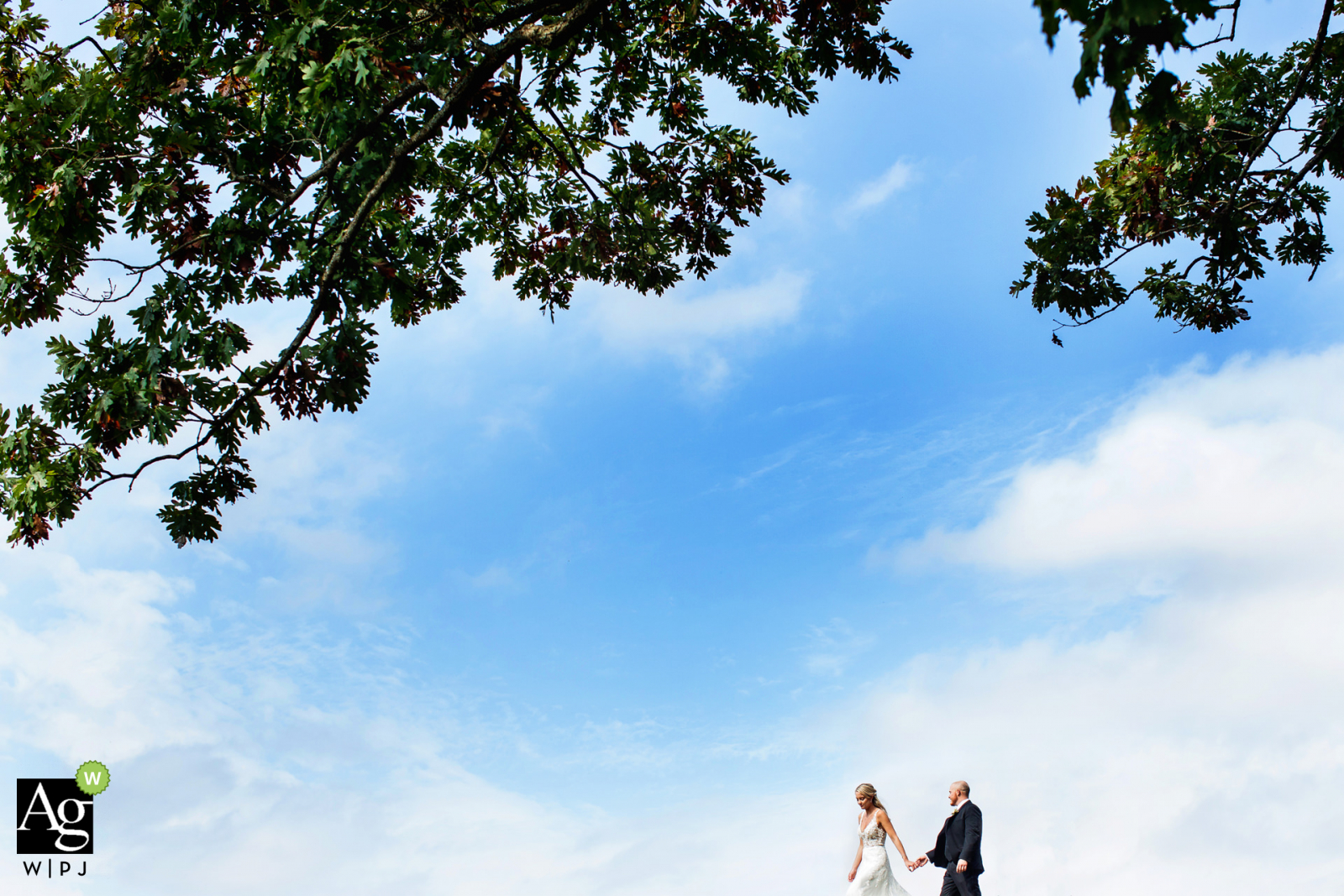 Bear Brook Valley, Nueva Jersey Foto de retrato del día de la boda de la novia y el novio tomados de la mano y caminando bajo los árboles y el cielo azul