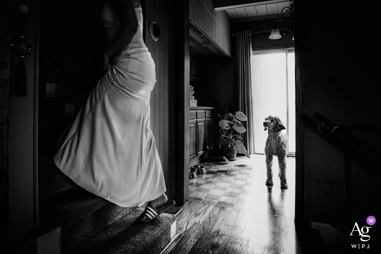 Photographe de mariage à domicile Fujian: Le chien a regardé la mariée se préparant pour le mariage.