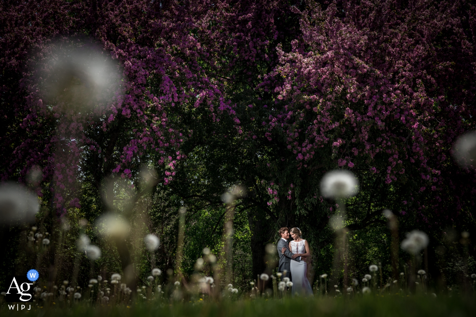 The Capitol Room wedding venue photos | Couple in the park during portrait session on wedding day