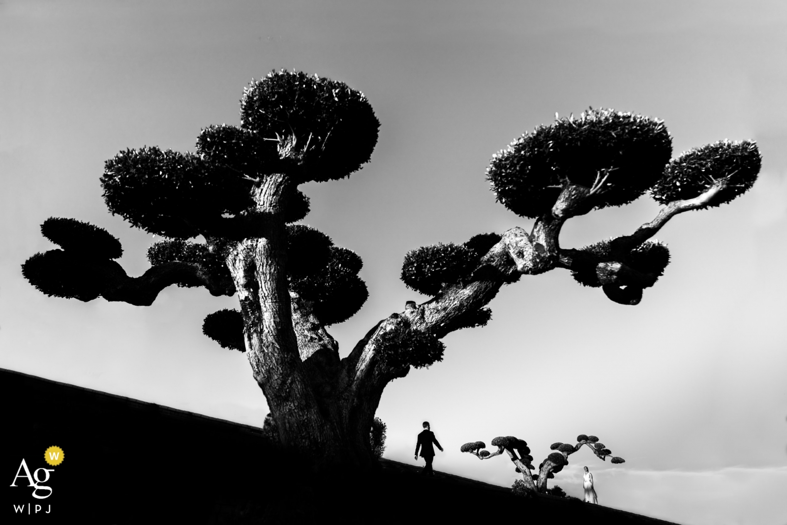 Foto di: <a href="https://www.wpja.com/photos/artistic-wedding-photographers/2559055"> Matteo Lomonte - Gioia del Colle Bari ritratti degli sposi napoli per il matrimonio in bianco e nero
