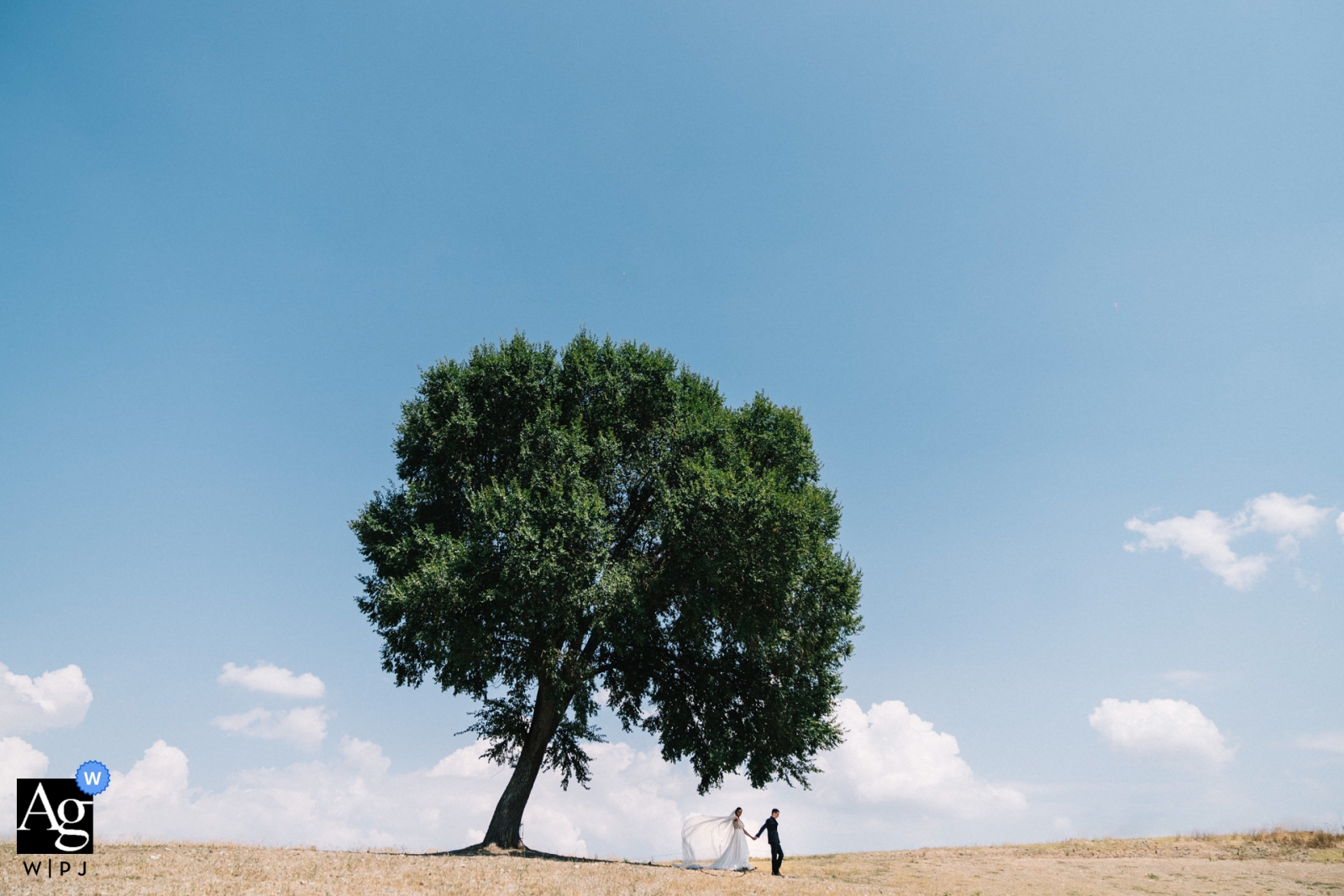 Lucania bride & groom portrait session on wedding day