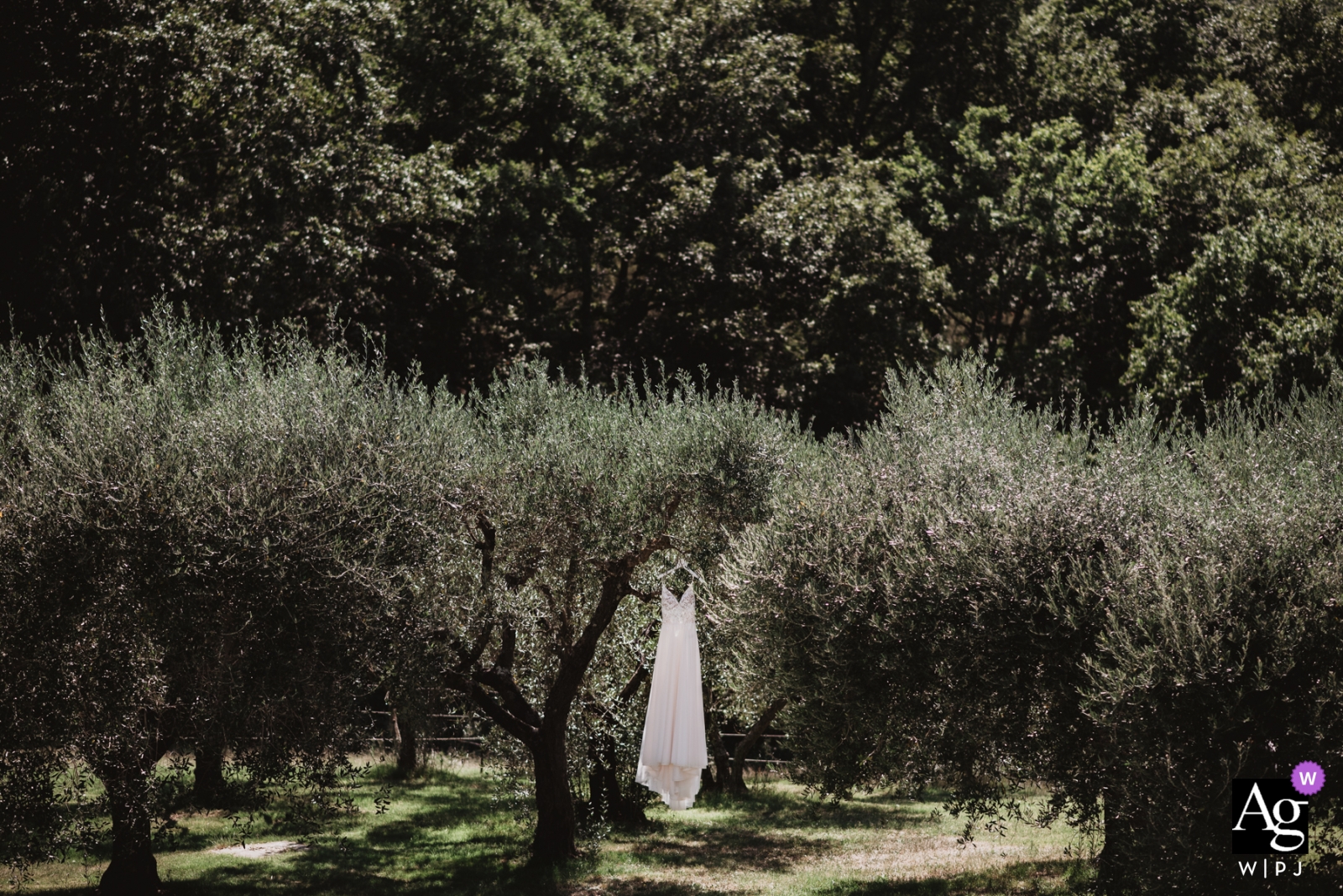 Photo: <a href="https://www.wpja.com/photos/artistic-wedding-photographers/2559392"> Marco Vegni - Sienne Sienne Villa Scopetello - Photo de Robe de mariée accrochée dans les arbres