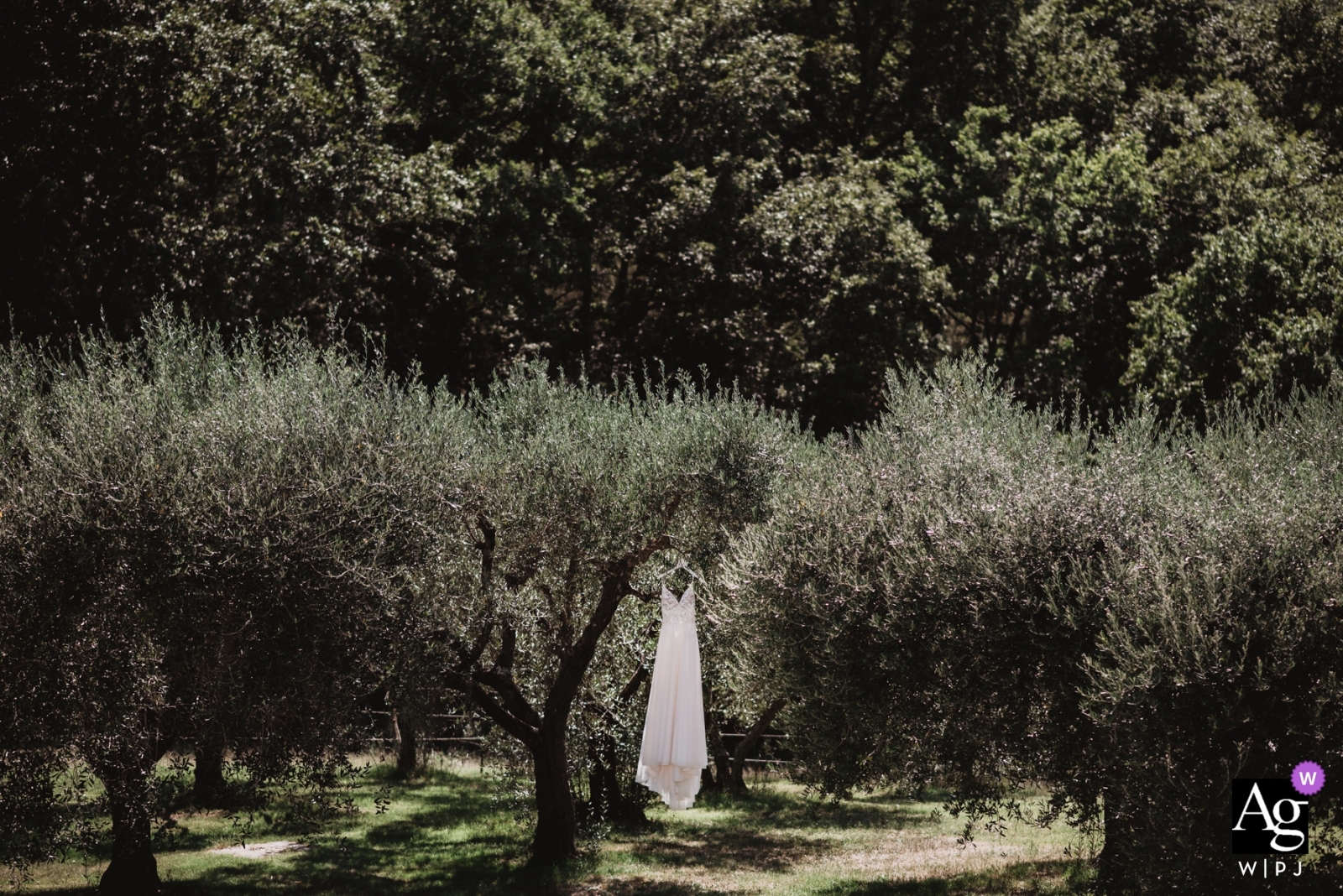 Villa Scopetello Hochzeitstagfotografie – Bild eines Brautkleides, das in den Bäumen hängt