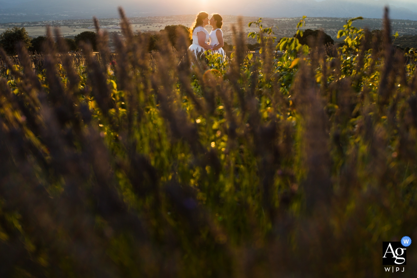 Couple posed portraits at Madrid (Spain)