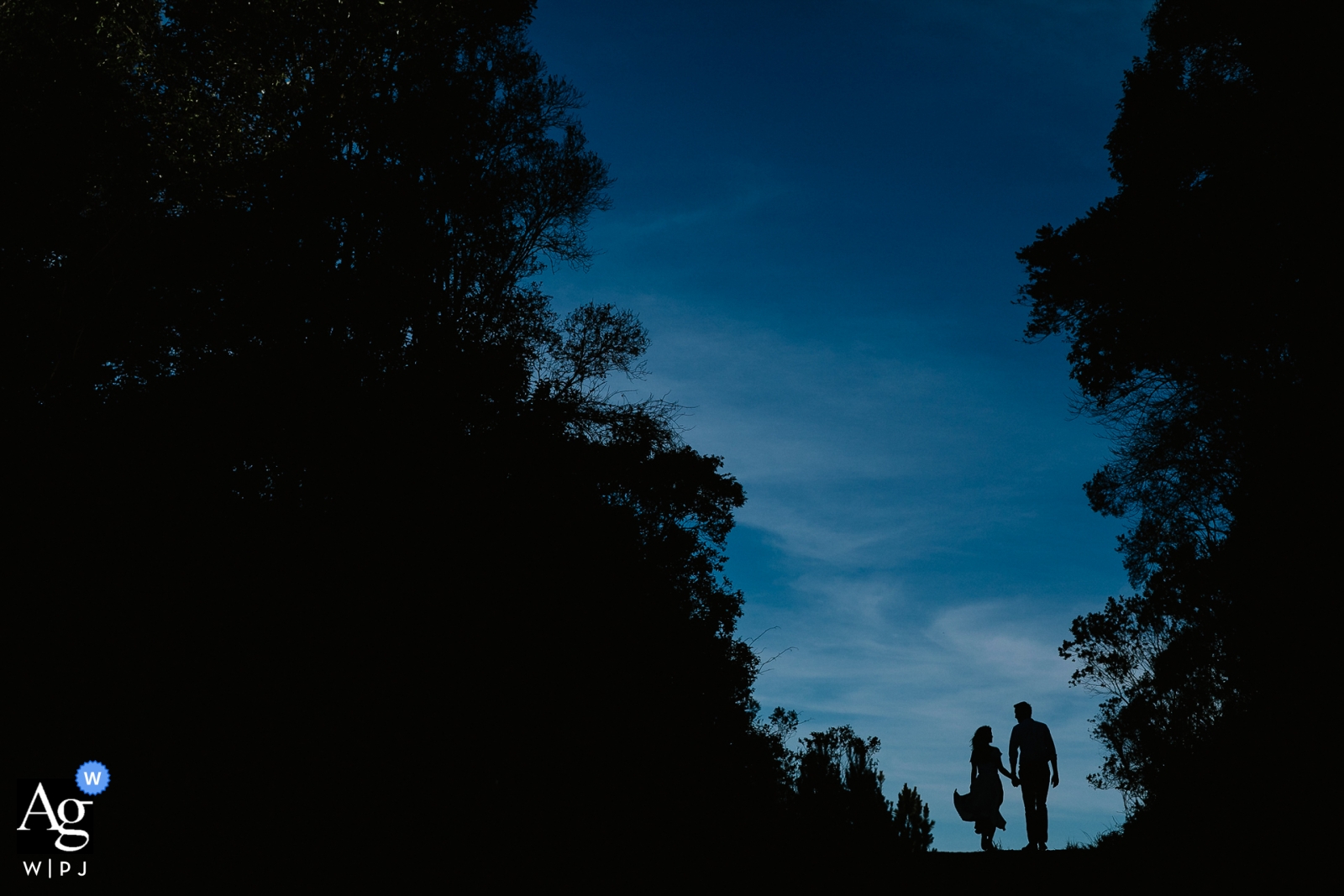 Photo prise par: <a href="https://www.wpja.com/photos/artistic-wedding-photographers/2559624"> Renan Radici - Porto Alegre Rio Grande do Sul Portrait de mariage de Porto Alegre Rio Grande do Sul des mariés.