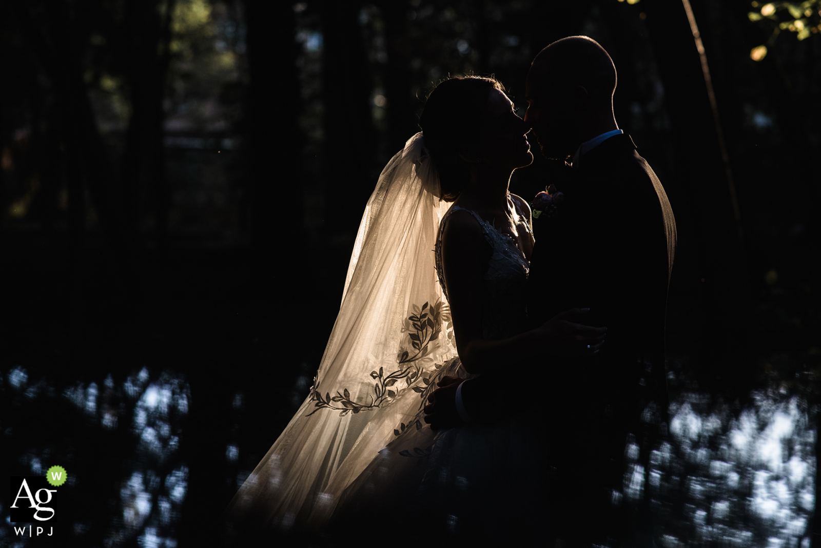 Sofia wedding day portrait of the Light between the couple Sofia wedding day portrait | Light between us