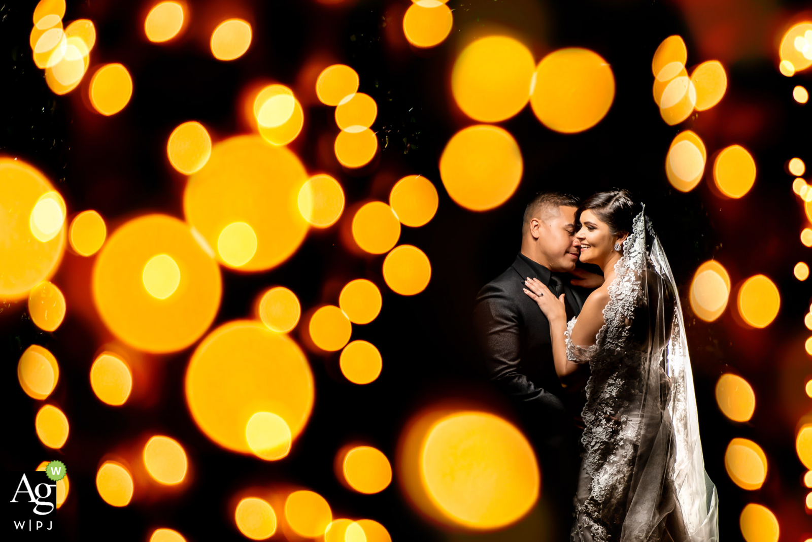 Caribbean wedding photographer at the Reception - Bride & Groom's House 	Subject between 2 palm trees with christmas lights for bokeh. 1 flash behind couple to pop from background and 1 main flash for subjects. 