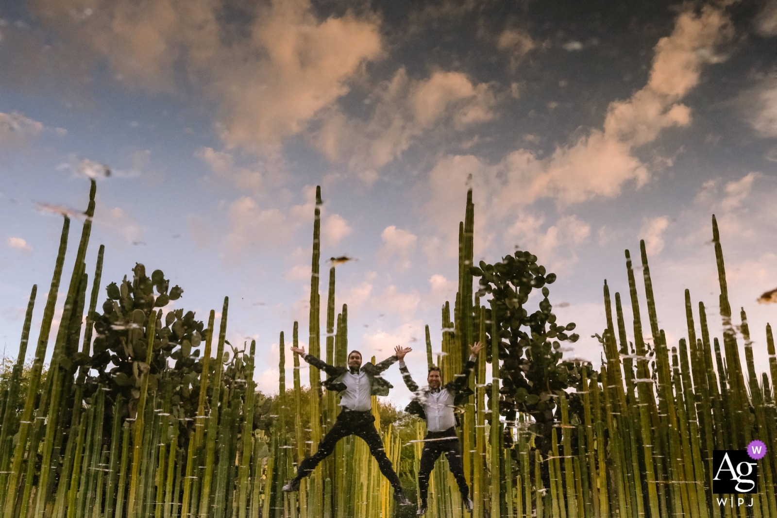 Jardin Etnobotanico, miasto Oaxaca, Oaxaca, Meksyk Panowie młodzi przy ścianie kaktusów