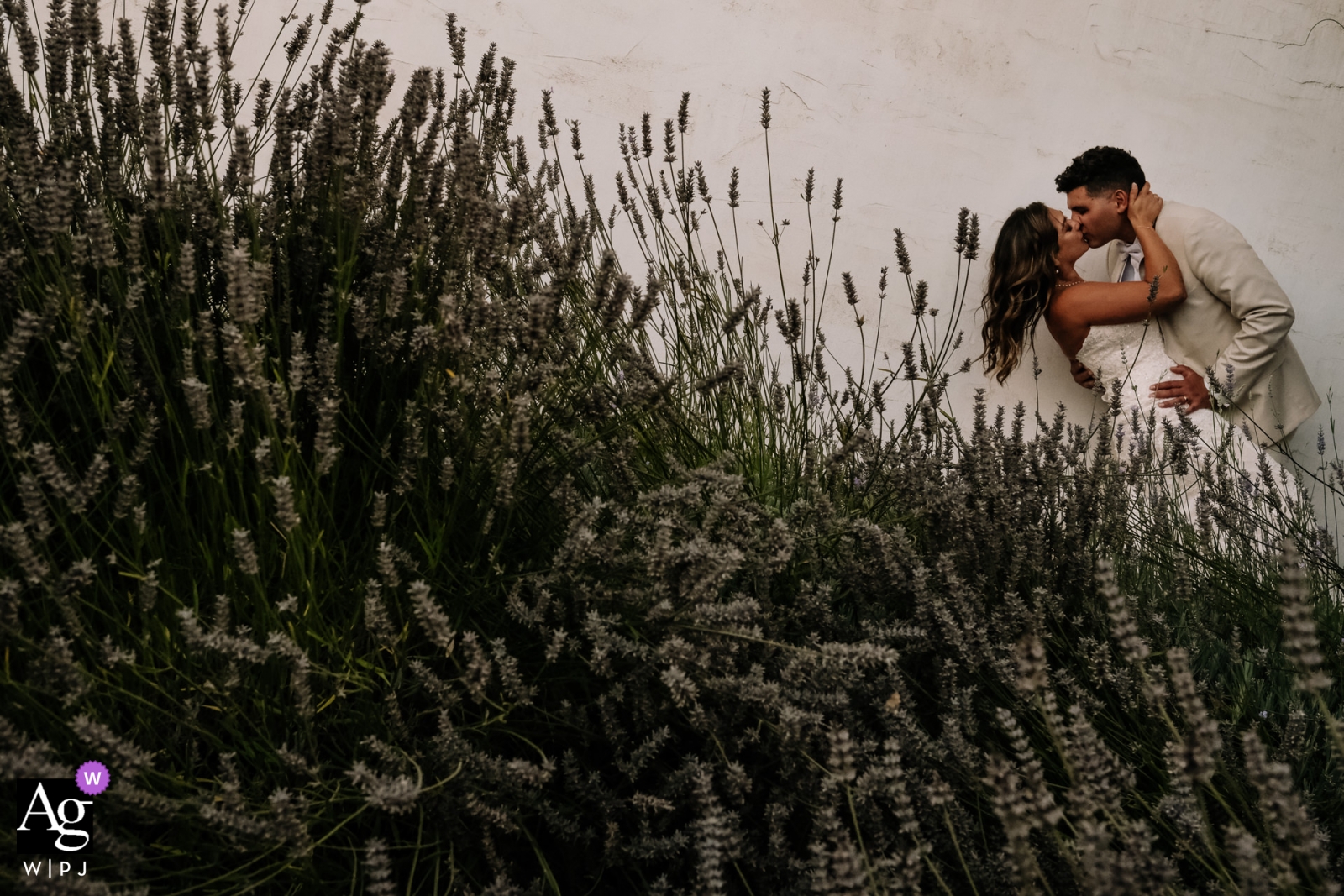 Hacienda de Leal, San Juan Bautista, Kalifornien Braut und Bräutigam am Hochzeitstag in einem Lavendelgarten für Porträts