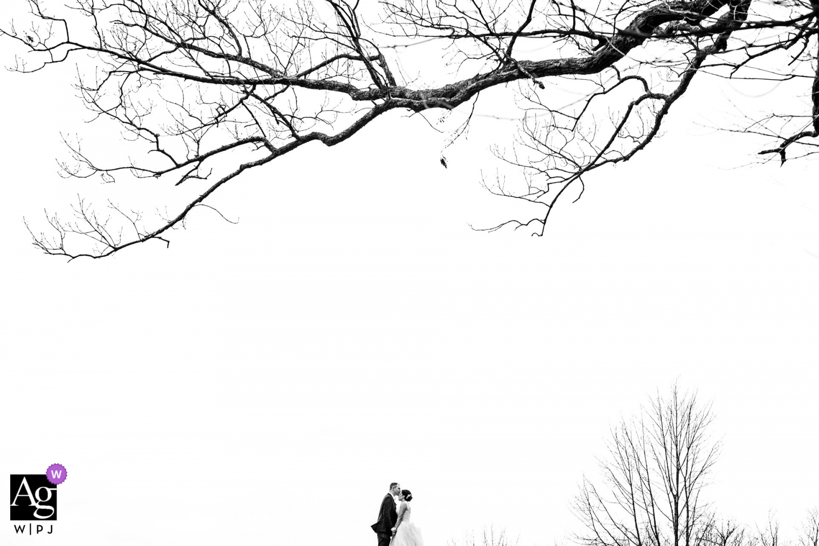 New-Jersey Schwarzweiss-Porträt der Braut und des Bräutigams unter einem Baum