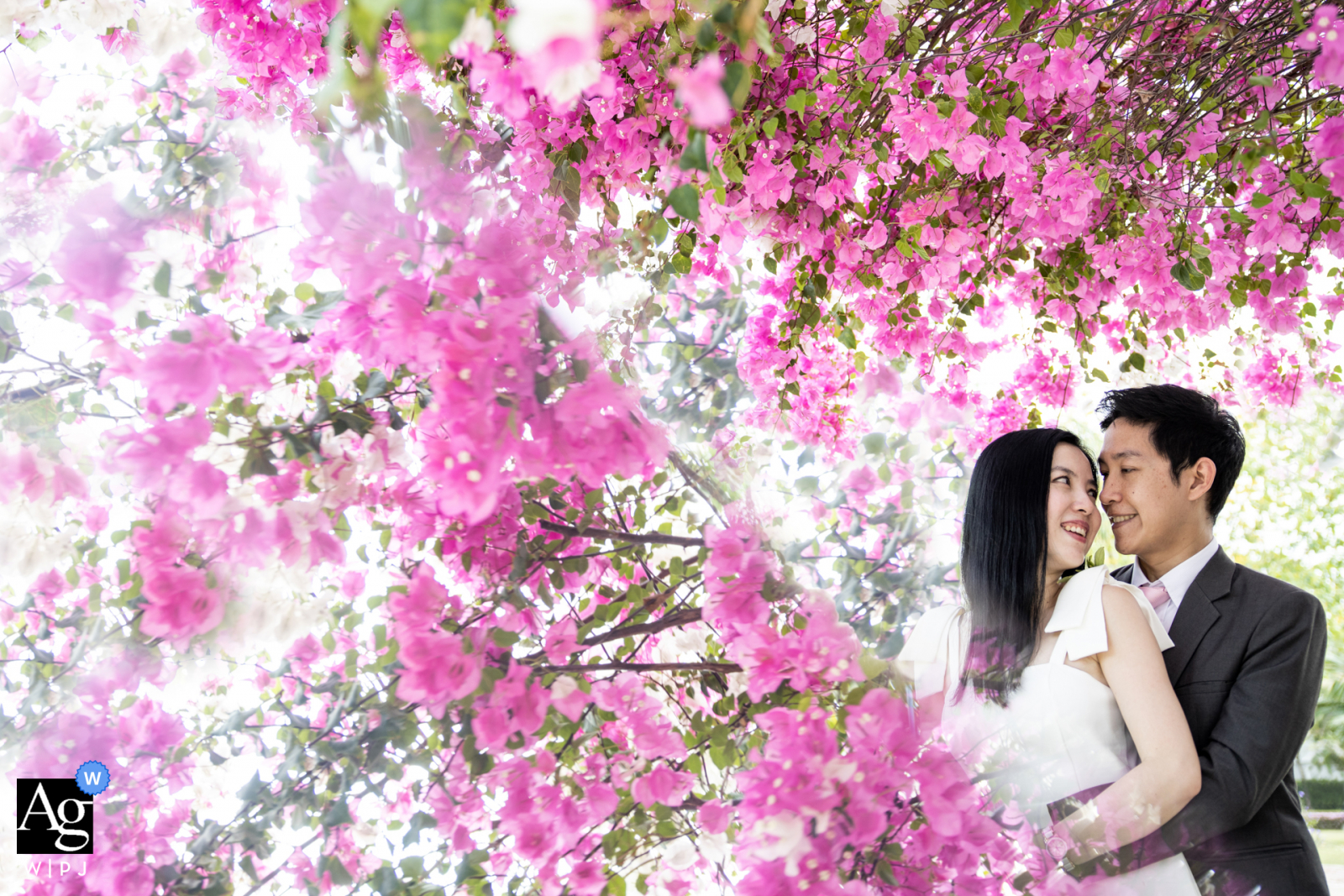 A casa della sposa, Samutprakarn, un ritratto di coppia rosa tra gli alberi in fiore